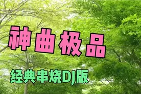 《神曲极品》精品车载电子琴DJ版，极品优盘定制版苏童调音师