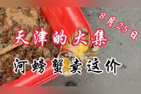 天津的大集，河螃蟹卖这价，日本排海，河蟹应该没事吧，没敢买。