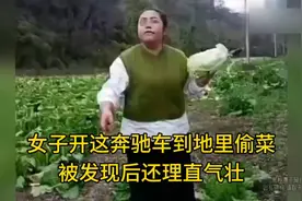 女子开奔驰车偷菜，被抓后还理直气壮!视频封面