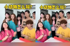 小动物怎么叫？