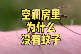 夏天屋内开着空调为何感觉没有蚊子