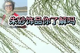 你知道佩戴饰品的禁忌吗原来朱砂饰品还是挺有讲究的应该了解一下视频封面