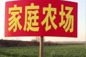 国家新政策，家庭农场的申请条件和申请流程视频封面