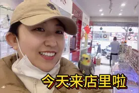 小铁蛋儿肯定特别想我吧，今天来店里粘着我不下身真是万物皆有灵视频封面