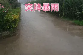 西安北郊突降倾盆大雨，五分钟后又是晴空万里，桑拿蒸天视频封面