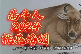 属牛人2024桃花婚姻