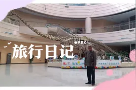 地质博物馆充电视频封面