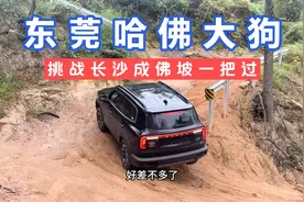 东莞哈佛大狗，挑战长沙成佛坡一把过，这个技术怎么样大家评价下视频封面