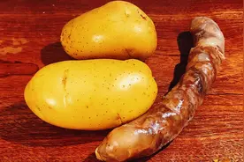 2个土豆1根腊肠，简单一做，我家三天两头吃，孩子每次都吃光光