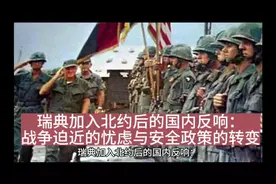瑞典加入北约后的国内反响：战争迫近的忧虑与安全政策的转变视频封面