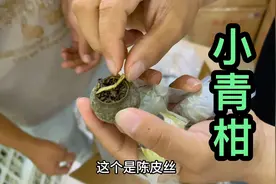 大鹏来到广东，拿下300斤新会小青柑，正宗新会柑就是不一样视频封面