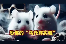 科学史上最恐怖的实验在一个乌托邦里当老鼠们不再需要劳动视频封面