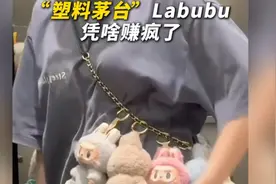 “塑料茅台”Labubu凭啥赚疯了？#泡泡玛特 #labubu #商业思维