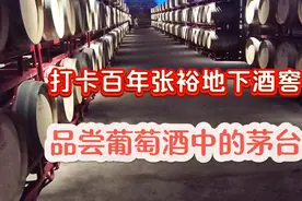 在烟台，打卡张裕百年地下酒窖，品尝葡萄酒中的国酒“茅台”视频封面