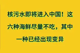 核污水即将进入中国！这六种海鲜尽量不吃，其中一种已经出现变异视频封面