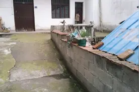 清明挖毛笋找到了红壳笋，最好吃的一种笋。视频封面