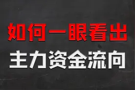 一眼看明出主力资金流向，以及背后所蕴含的逻辑，及时高效视频封面