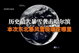 历史最大暴雪袭击哈尔滨，本次东北暴风雪极端在哪里视频封面