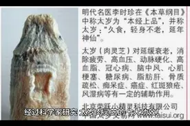 《本草纲目》记载，太岁具有“补中、益气、增智”的功效！