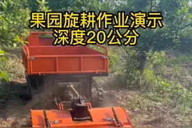 履带多功能运输车，果园，林地好帮手视频封面