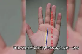 手相中没有事业线就代表没有事业？运势如何？视频封面