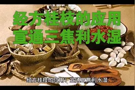经方桂枝的应用：宣通三焦利水湿视频封面