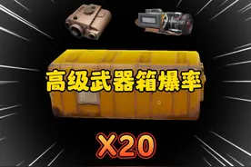 原来高级武器箱真能出大金