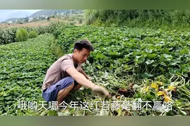 一家五口住在大山深处，过着与世无争的生活，看看他们今天在干嘛