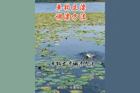 调漂方法 单钩立漂，调漂方法#原来钓鱼才是抖音运动顶流 #钓鱼人 #调漂技巧
