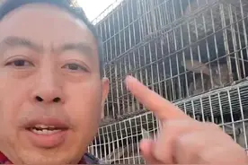 晚上想千万条路，早上还是走老路，惰性胆怯，前怕狼后怕虎让我们穷的很稳定，一事无成。挣不到钱的男人在需要解决问题的时候最丢人，加油干吧，养兔人👍👍#记录真实生活 #抖音助农 #上热门🔥 #三农视频封面