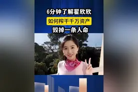 6分钟了解翟欣欣，如何榨干千万资产，毁掉一条人命！#翟欣欣获刑12年 #热点 #热点新闻事件视频封面