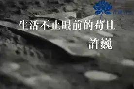 许巍《生活不止眼前的苟且》MV完整版！视频封面