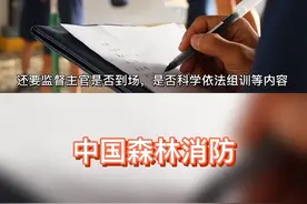 #火焰蓝#日常#消防带大家看看基层风气监督员的工作是什么？视频封面
