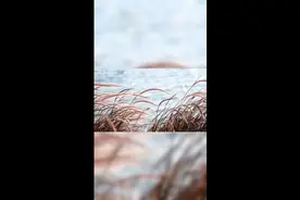 中年女人愿意和你深交的三个表现视频封面