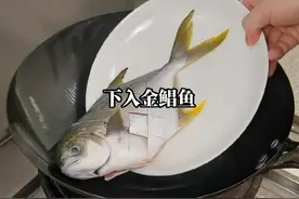这样烧出来的金鲳鱼，口感咸香美味，烹饪简单，喜欢的话赶紧学做起来吧。#红烧金鲳鱼 #每日美食分享 #抖音海鲜推荐官视频封面