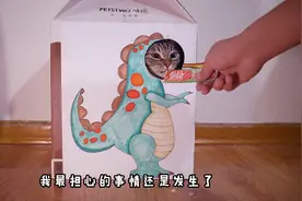 这可能是很多铲屎官都不能接受的事实 #今日猫法视频封面