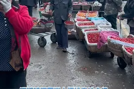 #新农人计划2023 #吃樱桃的季节 #优质农产品原产地