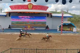 马术🏇🏻表演翻车了视频封面