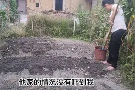感谢遇见你，白手起家陪你吃苦耐劳我不怕。从没有到会富有的加油视频封面
