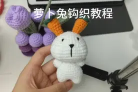 可爱萝卜兔玩偶 可当挂件 简单易上手#手工diy #教程 #礼物视频封面