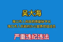 海口2名干部严重违纪违法被处分！视频封面