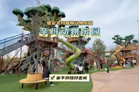 雄安辛玛森林动物乐园开业啦，各种小动物可以互动视频封面