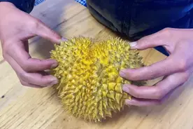 贷款买了个榴莲.#金果一开好运全开 #生活很苦但你要甜视频封面