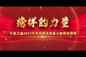 《榜样的力量》2023全国劳动模范先进人物事迹展播——健康照明…视频封面