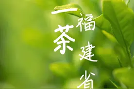 你认为福建还有哪些代表茶？评论区告诉我。#茶 #茶知识 视频封面