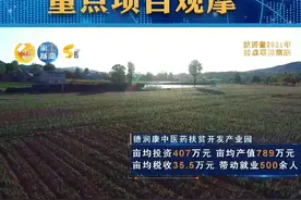 商洛：秦岭无闲草 商山多灵药#高质量发展看陕西 视频封面