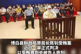 博白县财政局原局长陈钊一审获刑十一年六个月#玉林 视频封面