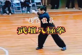 武坛八极拳是由刘云樵先生创立的，是如今八极拳三大体系之一
