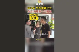 #女子被男友索要20万分手费 34岁的李女士离婚数年，找了个新男友想组建家庭，他的吃喝拉撒她都管。谁知多次被他打得遍体鳞伤。提出分手，男友竟然这样回复…视频封面