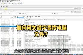 更加精准的桌面全文检索软件#软购商城 #FileLocator #everything